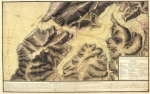 View The Planoak Album